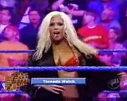wrestlin tori