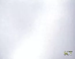 Erika bella i dwóch facetów