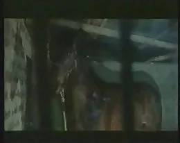 Marina, il cavallo e lo stallone pt1