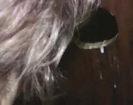 slutty cutie ssie glory hole kogut