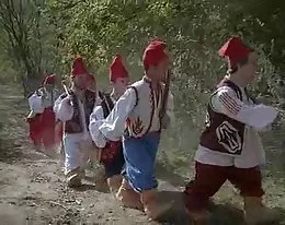 przybyła śnieżnobiała